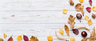 Sonbahar kompozisyonu. Masadaki kurumuş yapraklar ve diğer tasarım aksesuarlarından oluşan desen. Düz yatış, üst görünüm.