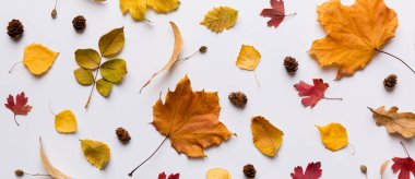 Sonbahar kompozisyonu. Masadaki kurumuş yapraklar ve diğer tasarım aksesuarlarından oluşan desen. Düz yatış, üst görünüm.