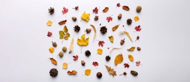 Sonbahar kompozisyonu. Masadaki kurumuş yapraklar ve diğer tasarım aksesuarlarından oluşan desen. Düz yatış, üst görünüm.