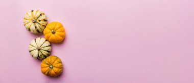 Renkli masa arkasında küçük turuncu balkabaklarının sonbahar kompozisyonu. Sonbahar, Cadılar Bayramı ve Şükran Günü konsepti. Sonbahar düz fotoğraf çekimi. Üst görünüm vith kopyalama alanı.