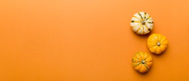 Renkli masa arkasında küçük turuncu balkabaklarının sonbahar kompozisyonu. Sonbahar, Cadılar Bayramı ve Şükran Günü konsepti. Sonbahar düz fotoğraf çekimi. Üst görünüm vith kopyalama alanı.