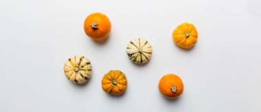 Renkli masa arkasında küçük turuncu balkabaklarının sonbahar kompozisyonu. Sonbahar, Cadılar Bayramı ve Şükran Günü konsepti. Sonbahar düz fotoğraf çekimi. Üst görünüm vith kopyalama alanı.