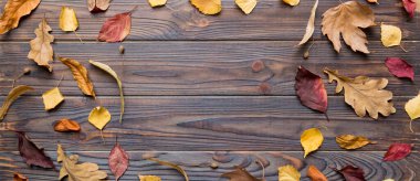 Masadaki kurumuş yapraklar, koniler ve meşe palamutlarından oluşan sonbahar kompozisyonu. Düz konum, üst görünüm, kopyalama alanı.