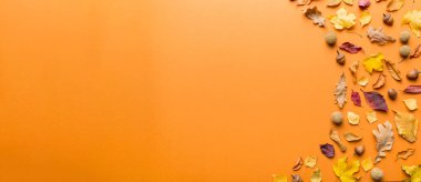 Sonbahar kompozisyonu. Masadaki kurumuş yapraklar ve diğer tasarım aksesuarlarından oluşan desen. Düz yatış, üst görünüm.