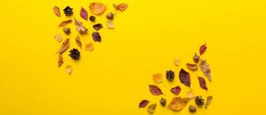 Sonbahar kompozisyonu. Masadaki kurumuş yapraklar ve diğer tasarım aksesuarlarından oluşan desen. Düz yatış, üst görünüm.