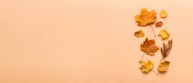 Sonbahar kompozisyonu. Masadaki kurumuş yapraklar ve diğer tasarım aksesuarlarından oluşan desen. Düz yatış, üst görünüm.