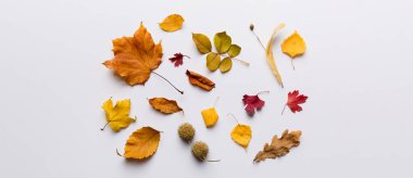 Sonbahar kompozisyonu. Masadaki kurumuş yapraklar ve diğer tasarım aksesuarlarından oluşan desen. Düz yatış, üst görünüm.