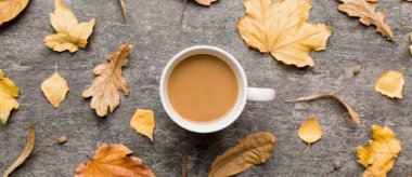 Sonbahar yapraklı bir fincan kakao soyut natürmort yaşam üst görünüm kopyalama alanı.