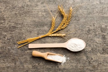 Tahta kasede buğday unu ve renkli arka planda buğday dikenleri. dünya buğday krizi.