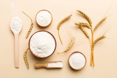 Tahta kasede buğday unu ve renkli arka planda buğday dikenleri. dünya buğday krizi.