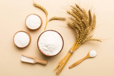 Tahta kasede buğday unu ve renkli arka planda buğday dikenleri. dünya buğday krizi.