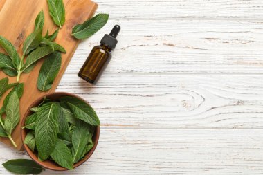 Cam Şişedeki Doğal Nane Özeli Yağı. Renkli arka planda nane özlü bitkisel kozmetik ürünleri.