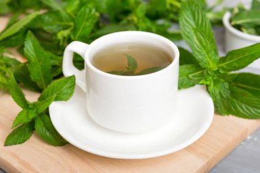 Arka planda bir fincan nane çayı. Fotokopi alanı ile taze nane görünümlü yeşil çay.