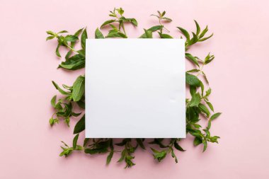 Boş kağıttan yapılmış çelenk çerçevesi, metin için boşluk ve renkli arkaplanda nane yaprakları. - Evet. Darphane deseni. Düz yatıyordu. Üst görünüm.