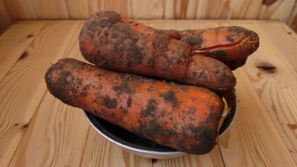 Багато Свіжої Моркви Металевій Тарілці Дерев Яному Столі — стокове відео