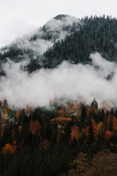 stock image Autumn mountains in the fog, Tyrol, Austria. Incredible cloud-covered mountain scenery in overcast weather. A gray autumn mood in the mountains