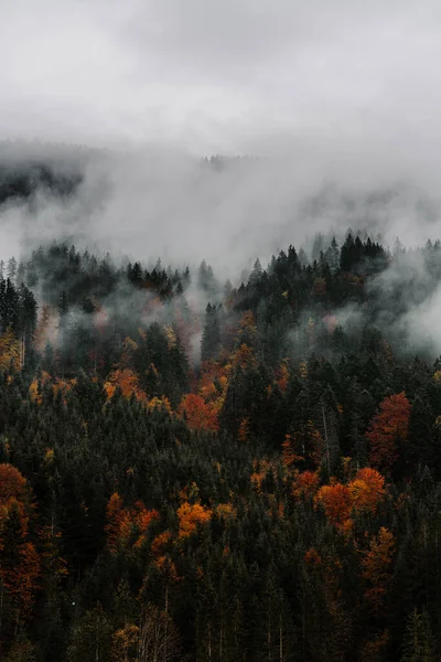 stock image Autumn mountains in the fog, Tyrol, Austria. Incredible cloud-covered mountain scenery in overcast weather. A gray autumn mood in the mountains