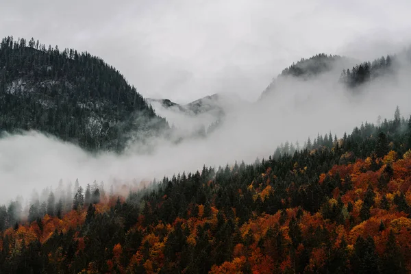 Autumn mountains in the fog, Tyrol, Austria. Incredible cloud-covered mountain scenery in overcast weather. A gray autumn mood in the mountains