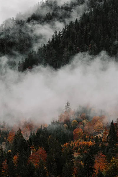 stock image Autumn mountains in the fog, Tyrol, Austria. Incredible cloud-covered mountain scenery in overcast weather. A gray autumn mood in the mountains