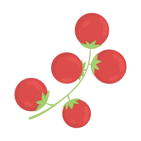 Tomates Cerises Semi Plat Objet Vecteur Couleur Légumes Frais Élément — Image vectorielle
