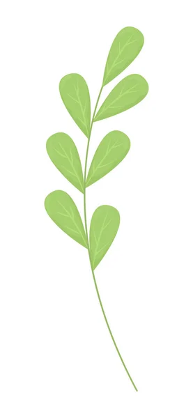 Twig Πράσινα Φύλλα Ημι Επίπεδη Χρώμα Διανυσματικό Αντικείμενο Κλάδος Φυτών — Διανυσματικό Αρχείο