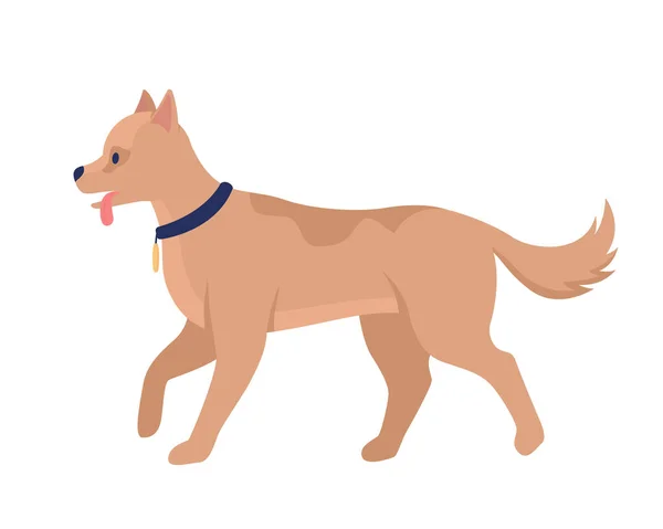 可爱的狗半扁平的颜色矢量字符 可编辑的数字 全尺寸的动物白色 带领子的家养动物 用于网页平面设计和动画的简单卡通画 — 图库矢量图片