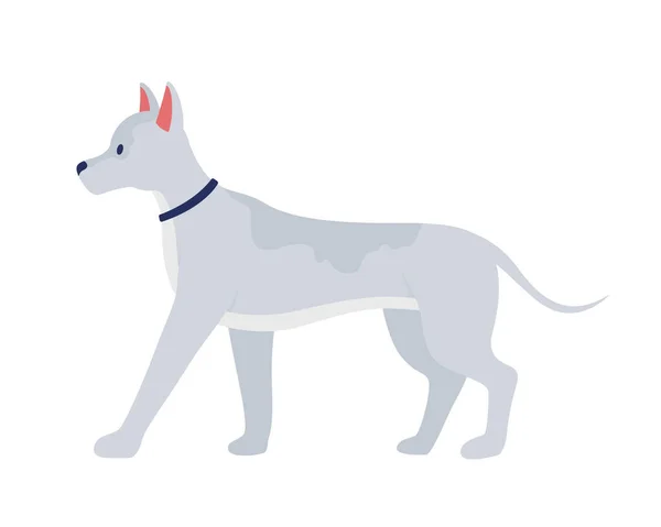 Gri Köpek Yarı Düz Renk Vektör Karakteri Düzenlenebilir Figür Beyaz — Stok Vektör