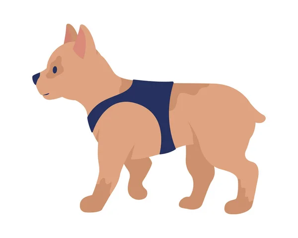 可爱的小狗半扁平的颜色矢量字符 可编辑的数字 全尺寸的动物白色 聪明的家畜用于网页平面设计和动画的纯种简单卡通风格插图 — 图库矢量图片