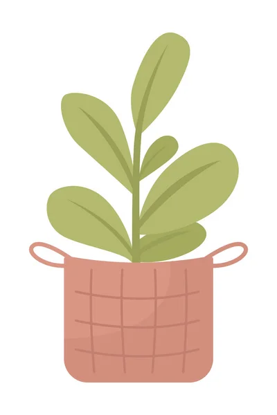 家居植物在柳篮半平色矢量对象 可编辑元素 全尺寸的白色项目 用于网页平面设计和动画的家居装饰简单的卡通风格插图 — 图库矢量图片