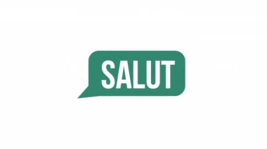 Canlandırılmış yeşil metin kutusu ögesi. Düz çizgi film tarzı HD video görüntüleri. Fransızca merhaba. Canlandırma için alfa kanal şeffaflığı ile beyaz arkaplanda kare konuşma kabarcığı renk çizimi