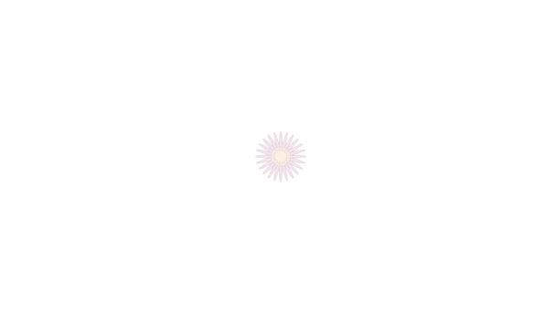 アニメーションバイオレットアスターの花 夏の庭の多年草植物 フラット漫画スタイルアイコン4Kビデオ映像 アルファチャンネル透明度を持つ白色背景の色分離要素アニメーション — ストック動画
