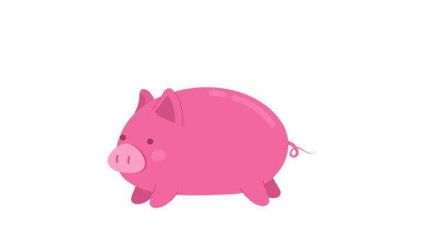 Animované Běžící Růžové Prasátko Roztomilé Domácí Farmářské Zvíře Pig Mini — Stock video