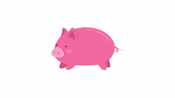 アニメーションが失敗したピンクの豚 国内の豚小屋 農場の動物の崩壊 アルファチャンネル透過性を持つ白い背景にフラットキャラクターアニメーション カラー漫画スタイル4Kビデオ映像 — ストック動画