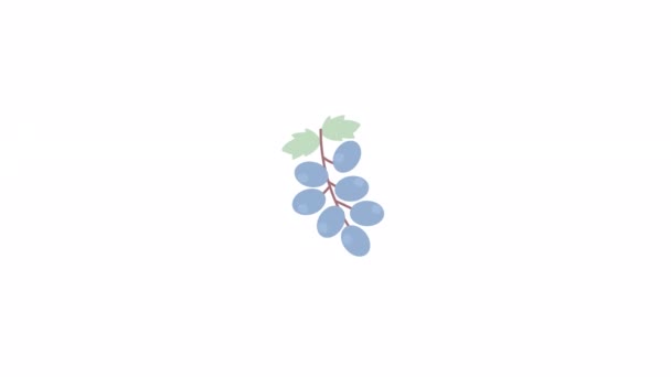 Geanimeerde Donkerblauwe Druiven Een Gezonde Snack Winery Ingrediënt Platte Cartoon — Stockvideo