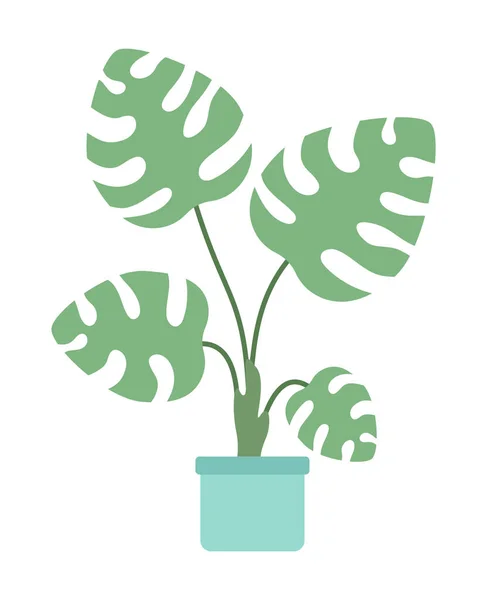 Большие Листья Монстра Помещении Домашнего Растения Полу Плоский Векторный Объект — стоковый вектор