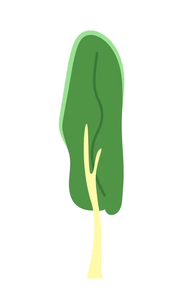 公園のエバーグリーン植物 半平らな色のベクトル オブジェクト バーチツリー ホワイトバックグラウンドで編集された漫画クリップアートアイコン Webグラフィックデザインのためのシンプルなスポットイラスト — ストックベクタ