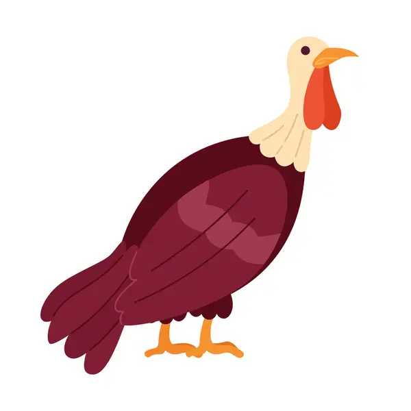 Domestic Turkey Bird Cartoon Character Poultry Farming Isolated Vector Animal — Stock Vector