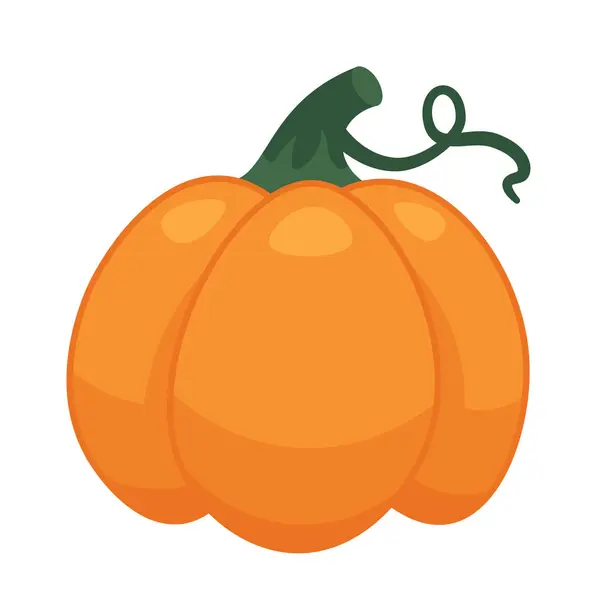 Halloween Tök Rajzfilm Tárgy Október Növényi Izolált Vektor Tétel Fehér — Stock Vector