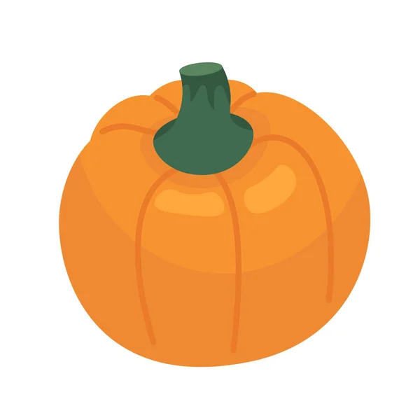 Growing Ripening Pumpkin Cartoon Object Autumn Harvest Festival Vegetable Veggie — Stock Vector