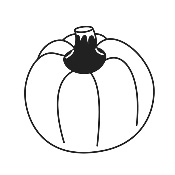 正在成熟的南瓜黑色和白色的2D卡通物体 秋天的收获 蔬菜分离载体概述项目 感恩节和秋天 10月秋季单色平面点画 — 图库矢量图片
