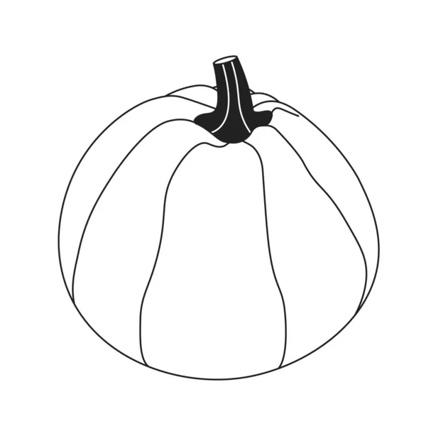 Vegetarian Natural Pumpkin Black White Cartoon Object Autumn Harvest Festival — Stock Vector