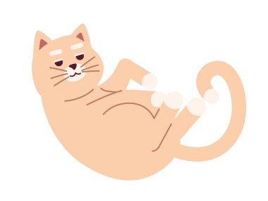 Şirin kedi 2D çizgi film karakteri gibi kıvrılmış. Tek hayvan tapılası kedi yavrusu izole edilmiş vektör hayvan beyaz arka plan. Kedicik baş aşağı duruyor. Evcil hayvan kıvırma rengi düz nokta illüstrasyonu