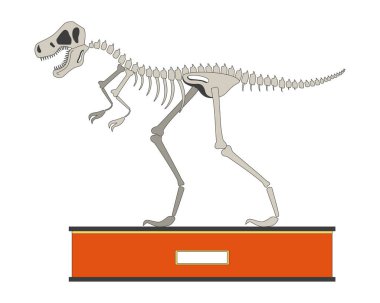 Tyrannosaurus rex fosili 2D doğrusal çizgi film nesnesi. Dinozor izole çizgi vektör elementi beyaz arkaplan sergiliyor. Tarih öncesi yırtıcı hayvan sergisi. Doğal Tarih Müzesi Rengi Düz Nokta Çizimi