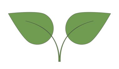 Kök 2D karikatür nesnesiyle birbirine bağlanmış iki yaprak. Çevre dostu çevre koruma doğa sürdürülebilirliği. Beyaz zemin üzerinde doğal yapraklar izole edilmiş düz vektör klipsleri. Benek illüstrasyonu