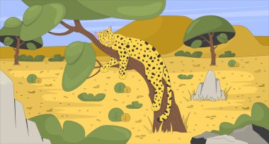 Afrika bozkırlarında ağaçta uyuyan leopar. Vahşi kedi dinleniyor. Safari hayvan uykusu. Vahşi yaşam yırtıcı yaşam alanı 2D karakter çizgi film geçmişi. Renkli sahne vektör sanat resmi