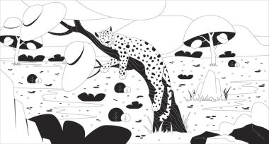 Afrika bozkırlarında ağaçta uyuyan leopar çizimi. Vahşi kedi dinleniyor. Safari hayvan uykusu. Vahşi yaşam yırtıcısı habitatı 2D mürekkep doğrusal karakter monokrom. Düz çizgili vektör görüntüsü