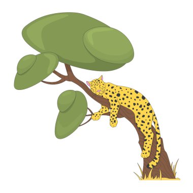Leopar ağaç 2D çizgi film karakterinde uyuyor. Benekli vahşi kedi dinleniyor. Savana hayatı. Doğal ortamdaki vahşi hayvan beyazı izole etti. Benek illüstrasyonu renkli
