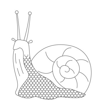 Şirin salyangoz 2D çizgi karakteri. Anten gözlü spiral gastropod yumuşakçaları. Yumuşakça kabuklu maskot. Tuhaf sümüklü böcek kabuğu, izole vektör mürekkebi, hayali hayvanı özetliyor. Monokromatik nokta çizimi