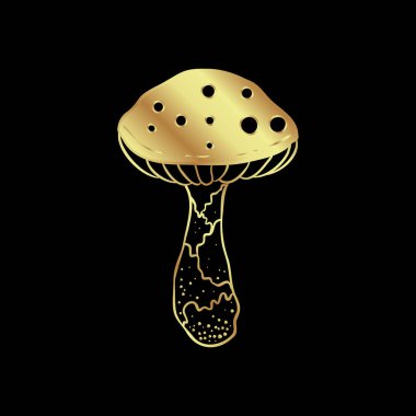 Magic mushrooms. Psychedelic hallucination. Gold vector illustration isolated on black. 60s hippie art. Coloring book for kids and adults.