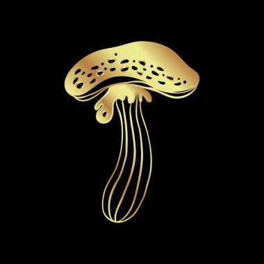 Magic mushrooms. Psychedelic hallucination. Gold vector illustration isolated on black. 60s hippie art. Coloring book for kids and adults.
